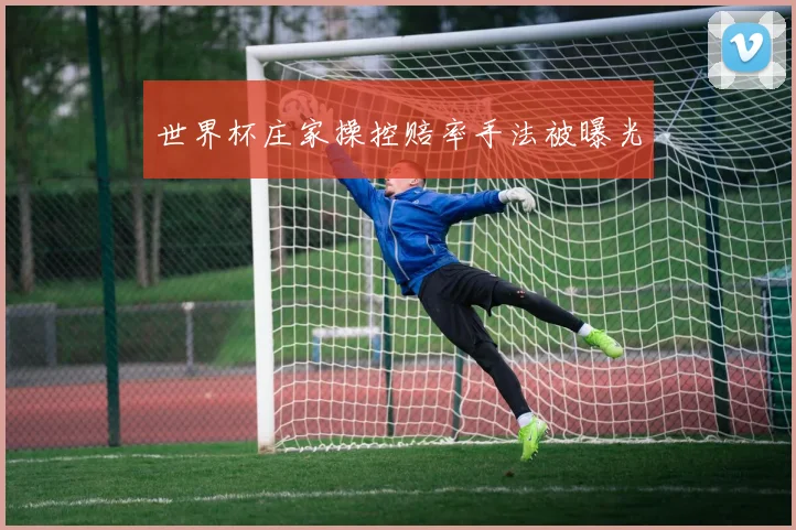 世界杯庄家操控赔率手法被曝光