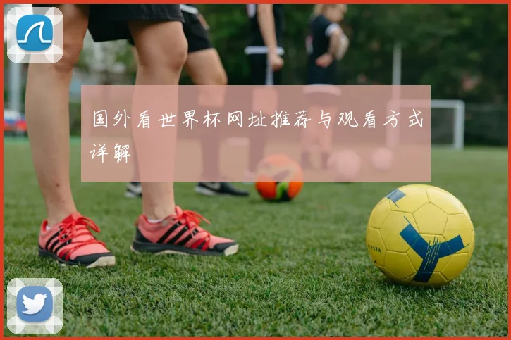 国外看世界杯网址推荐与观看方式详解